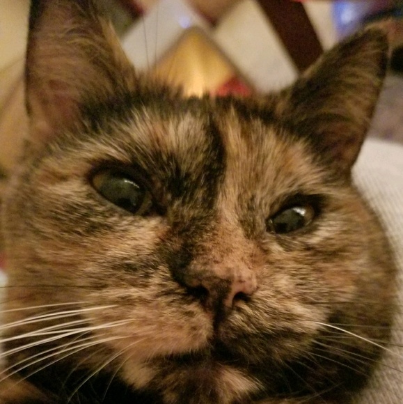 Meet your Posher, Susan - Picture 1 of 1